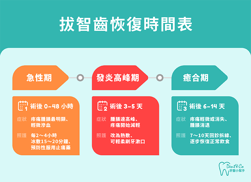 拔智齒痛多久?拔智齒恢復時間表。