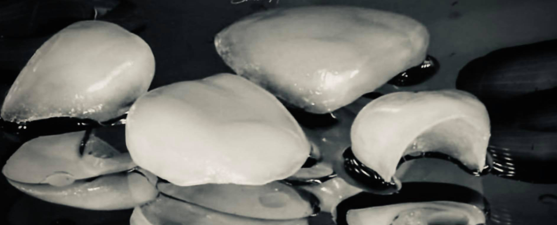 牙周專科｜張博堯 牙醫師